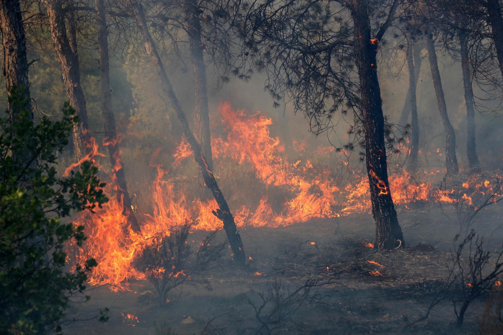 Incêndios, secas, calor extremo e fome: África sofre impacto desproporcional da crise climática e teme super El Niño - QTU Questões do Universo