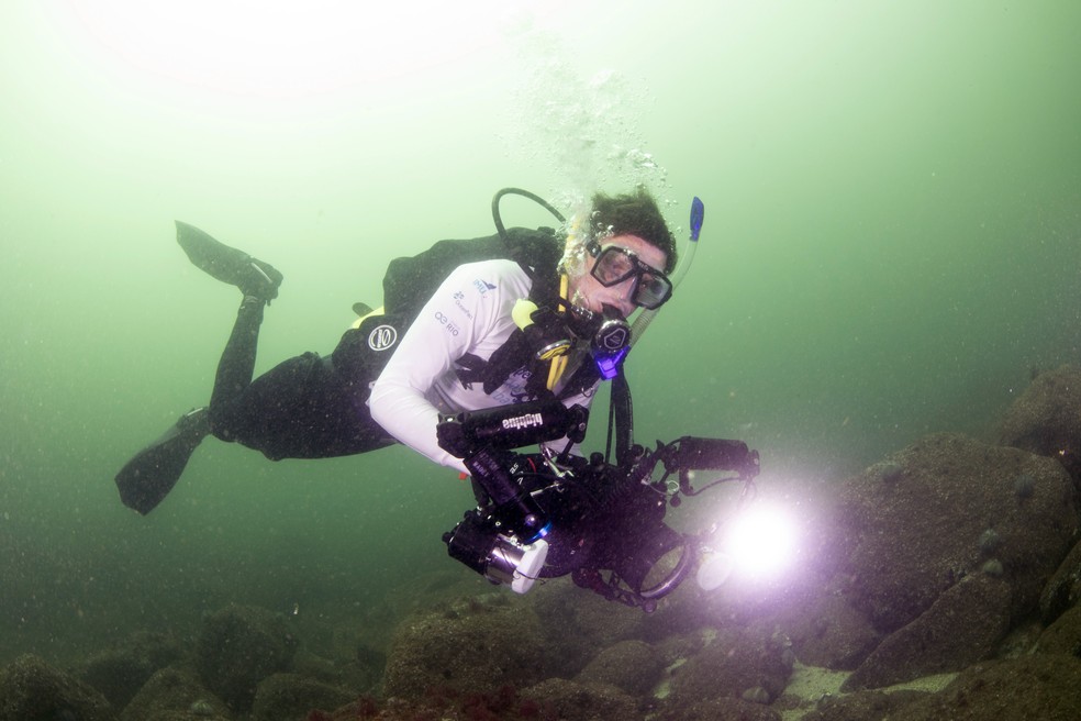 Instituto Mar Urbano. Ricardo Gomes fotografa espécies — Foto: Divulgação/Instituto Mar Urbano