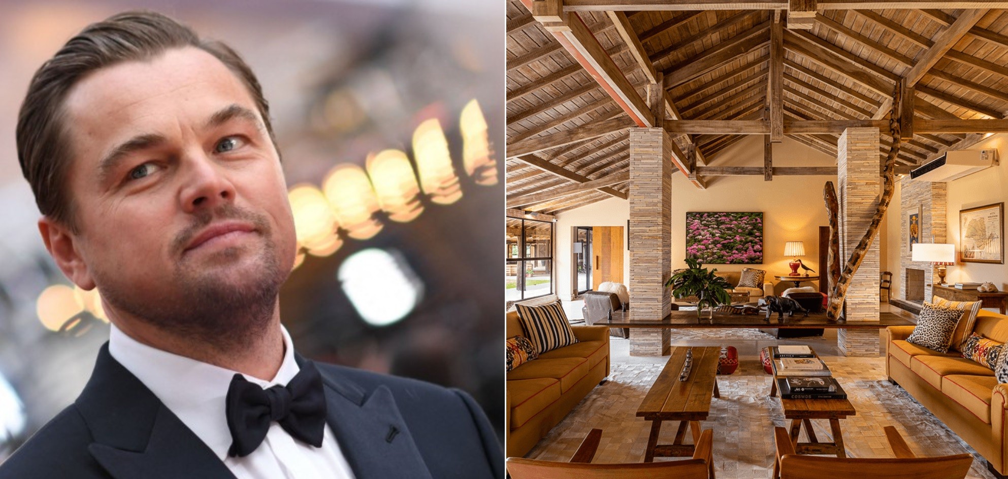 Leonardo diCaprio curte villa privativa no Pantanal após visita a aldeia indígena e encontro com cacique Raoni - QTU Questões do Universo