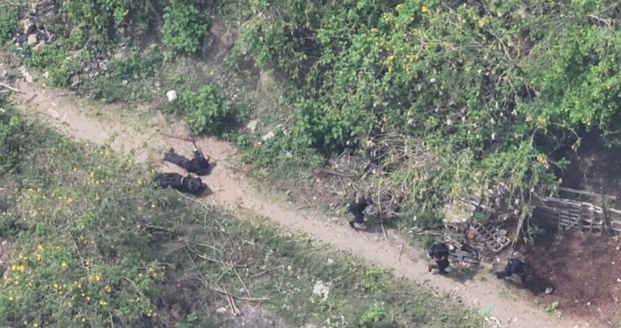 Policiais em incursão em mata do Alemão