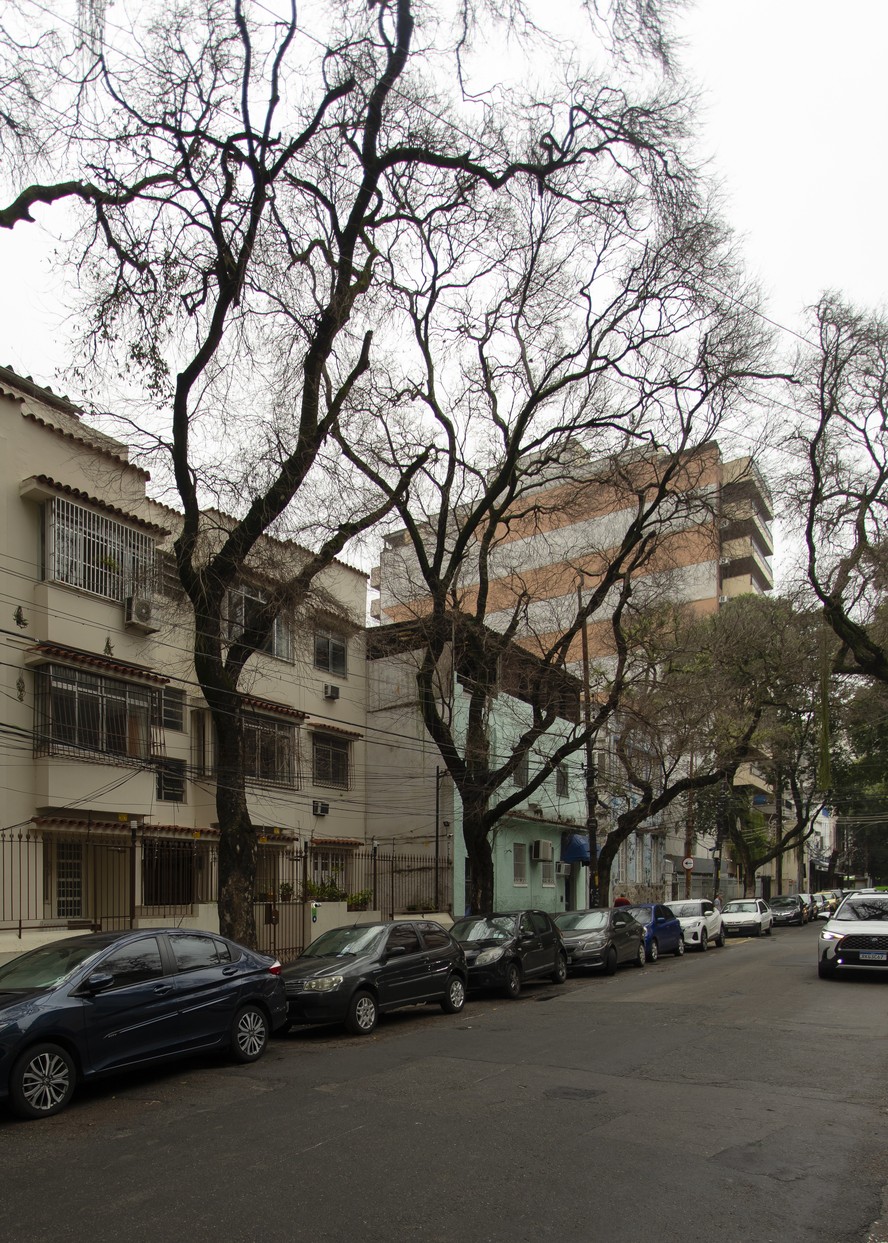 Árvores criminosamente envenenadas secam e são cortadas próximo à esquina das ruas Afonso Pena e Gonçalves Crespo, na Tijuca