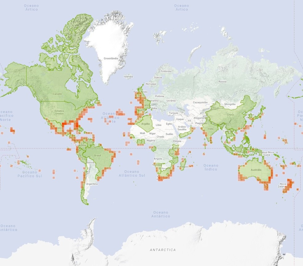 Distribuição e avistamentos de caravelas-portuguesa ao redor do mundo — Foto: Reprodução / BioDiversity4All