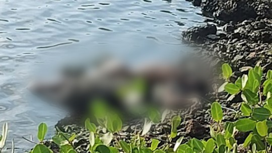Corpo de um homem é encontrado às margens da Lagoa da Barra, na Zona Oeste