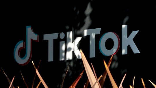 Sem TikTok, economia americana pode crescer 12% ao ano