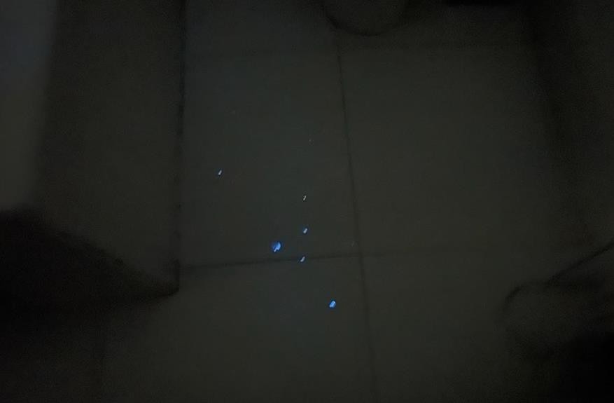 Gotas de sangue destacadas pelo luminol direcionadas à porta de acesso ao banheiro da suíte master — Foto: ICCE-RJ
