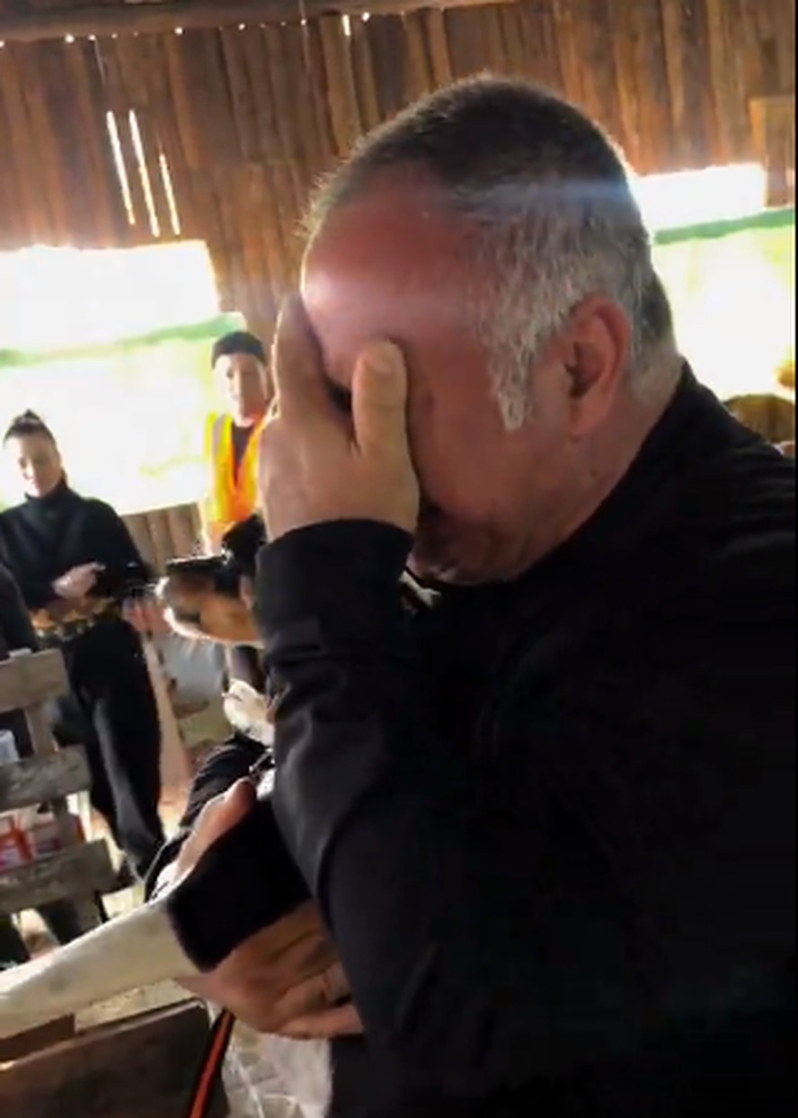 Tutor reencontra cachorrinha em abrigo após temporais no RS e vídeo viraliza nas redes