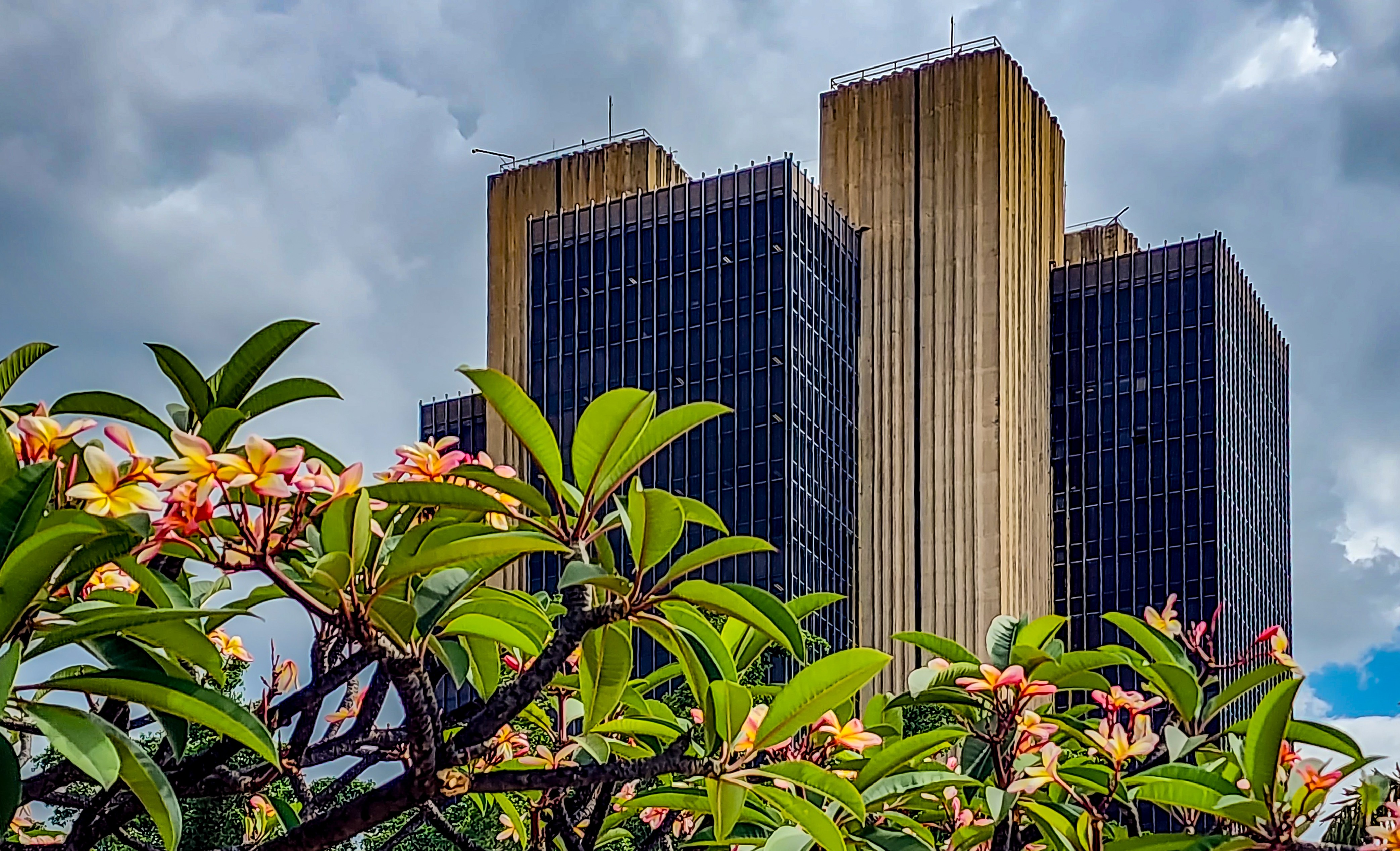 Oportunidades perdidas e retrocessos