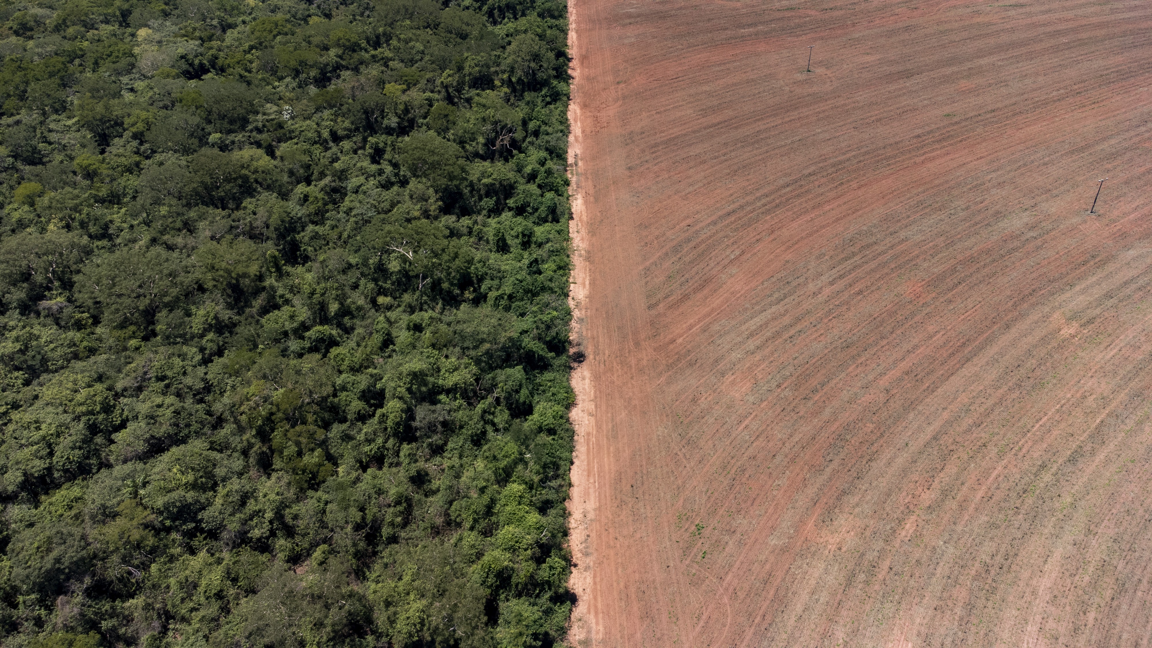Crise climática e ambiental é ignorada nos planos de governo de quase todos candidatos ao Planalto, aponta Observatório - Foto