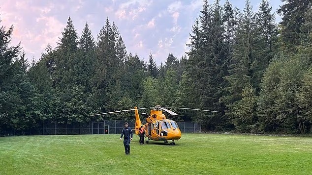 Mulher é picada mais de 100 vezes por vespas durante trilha e precisa ser resgatada de helicóptero no Canadá - QTU Questões do Universo