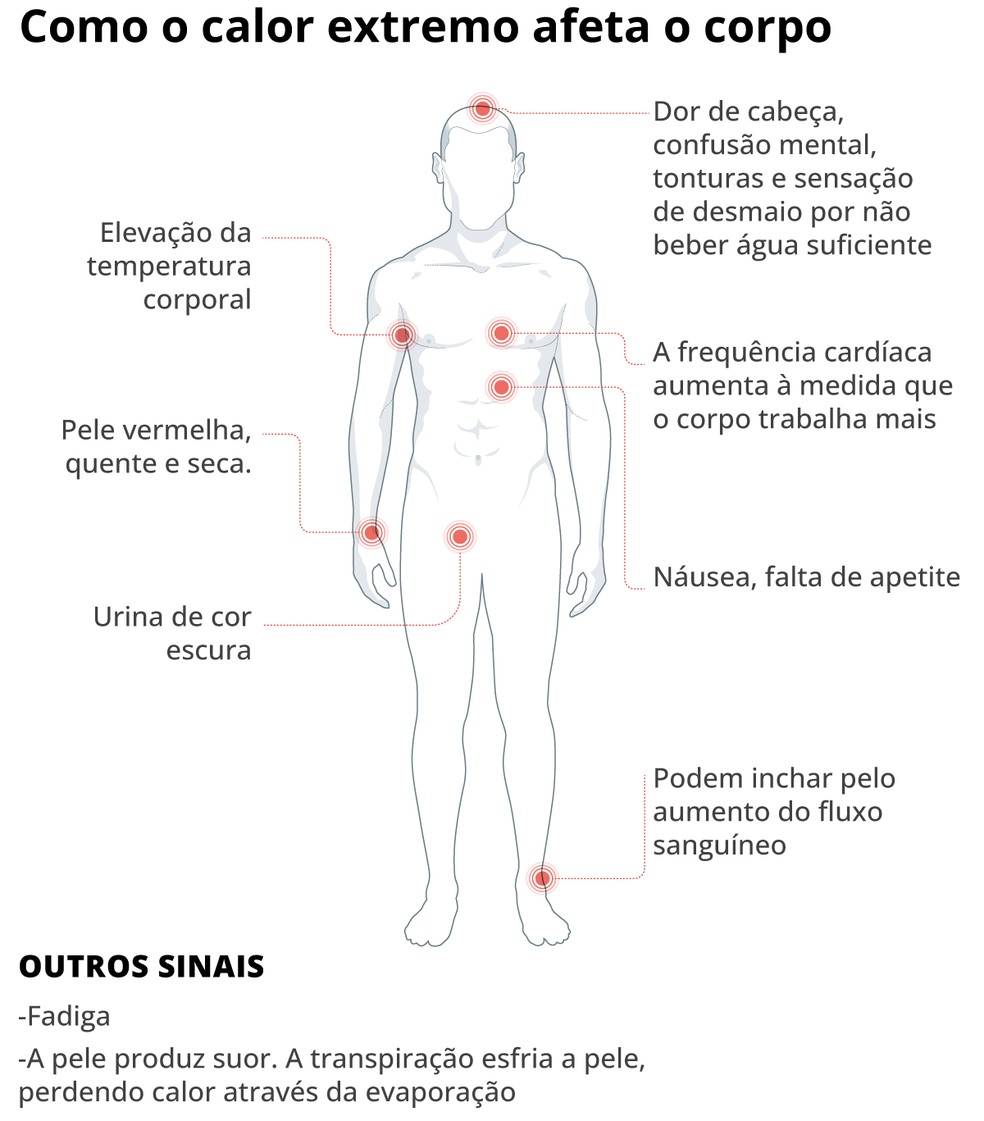 Os efeitos do calor extremo no corpo — Foto: Editoria de Arte