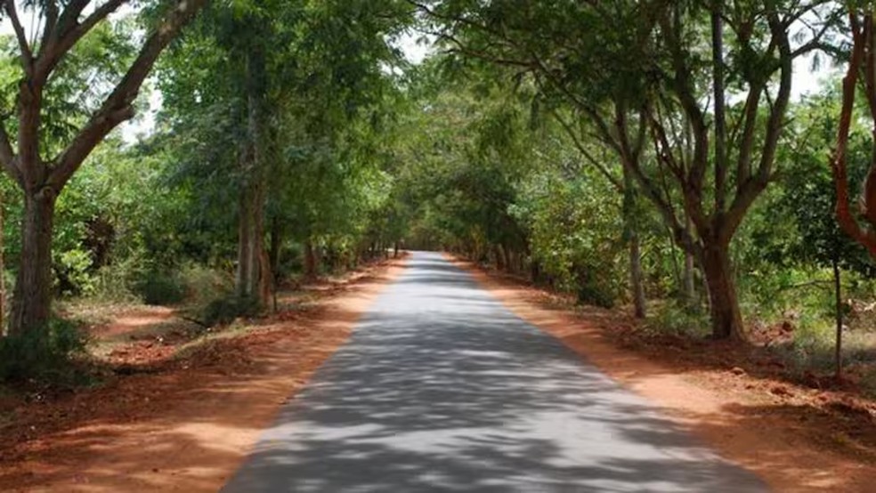 Um dos caminhos de Auroville &mdash; Foto: Reprodu&ccedil;&atilde;o