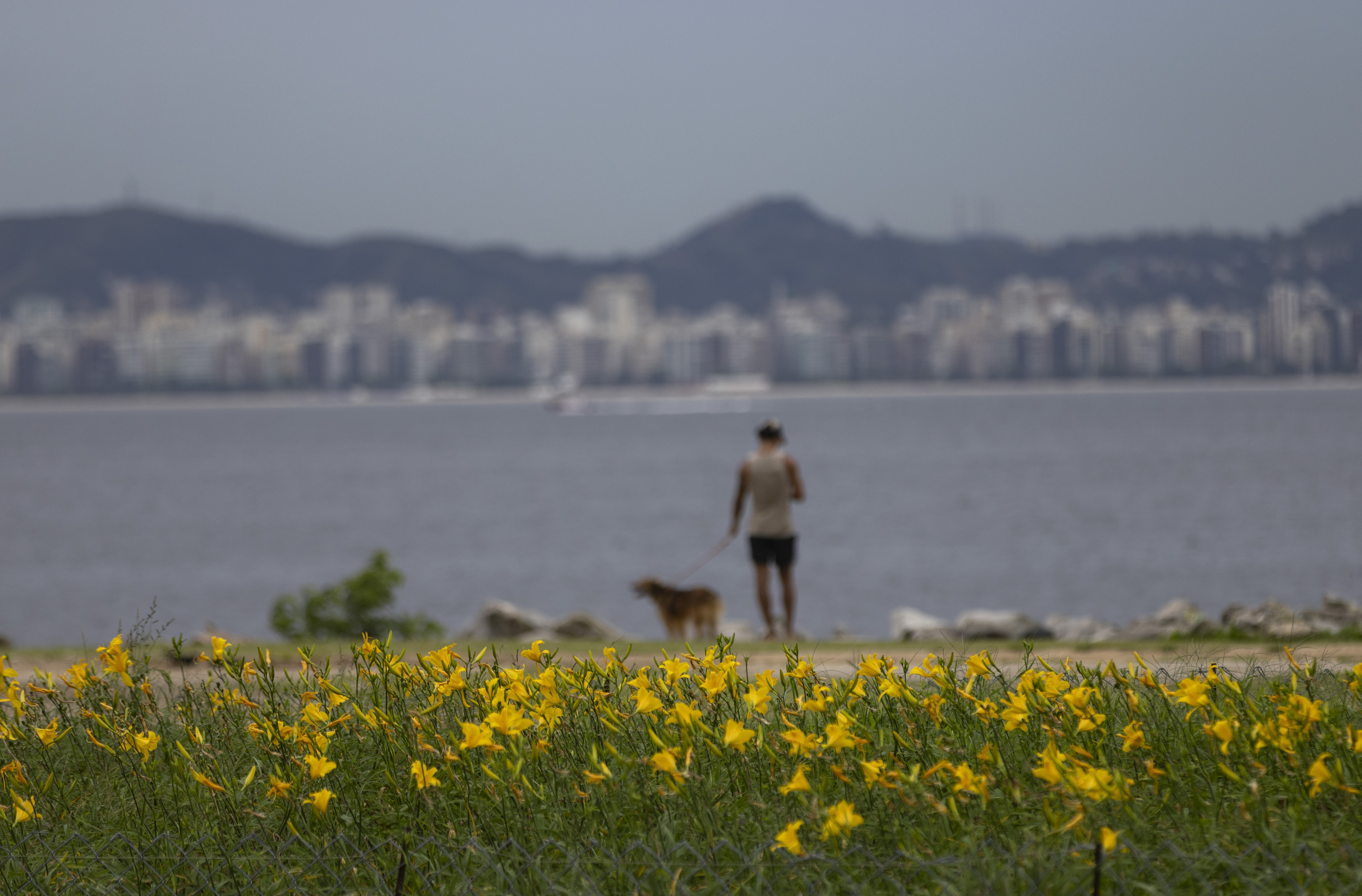 Quem lê o amanhã - Foto