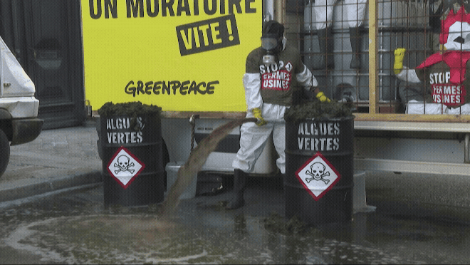 Tribunal dos EUA ordena que Greenpeace pague US$ 345 milh&otilde;es &agrave; operadora de oleoduto alvo de protesto