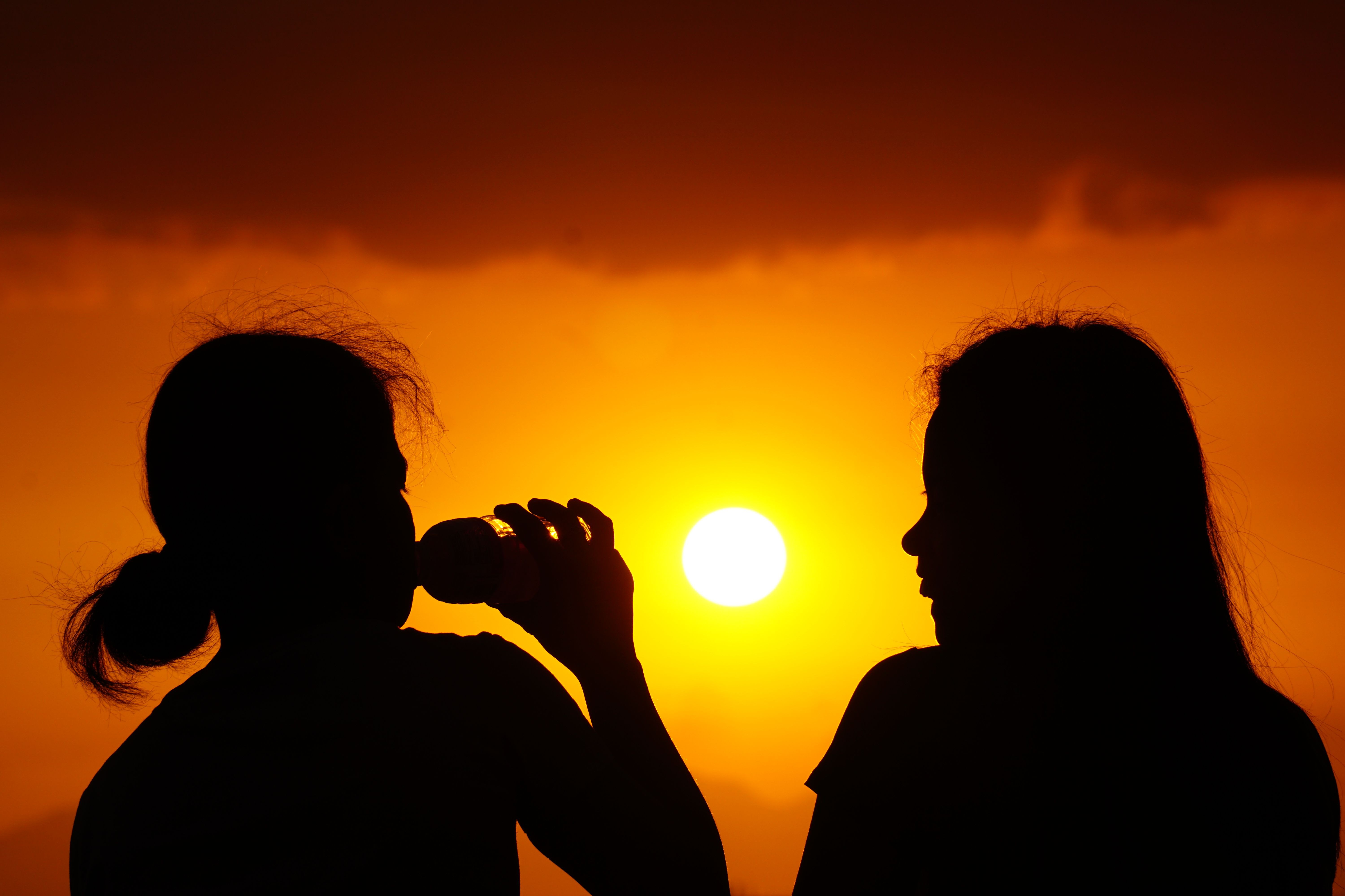 Química do Sangue Humano Alerta para Mudanças Climáticas