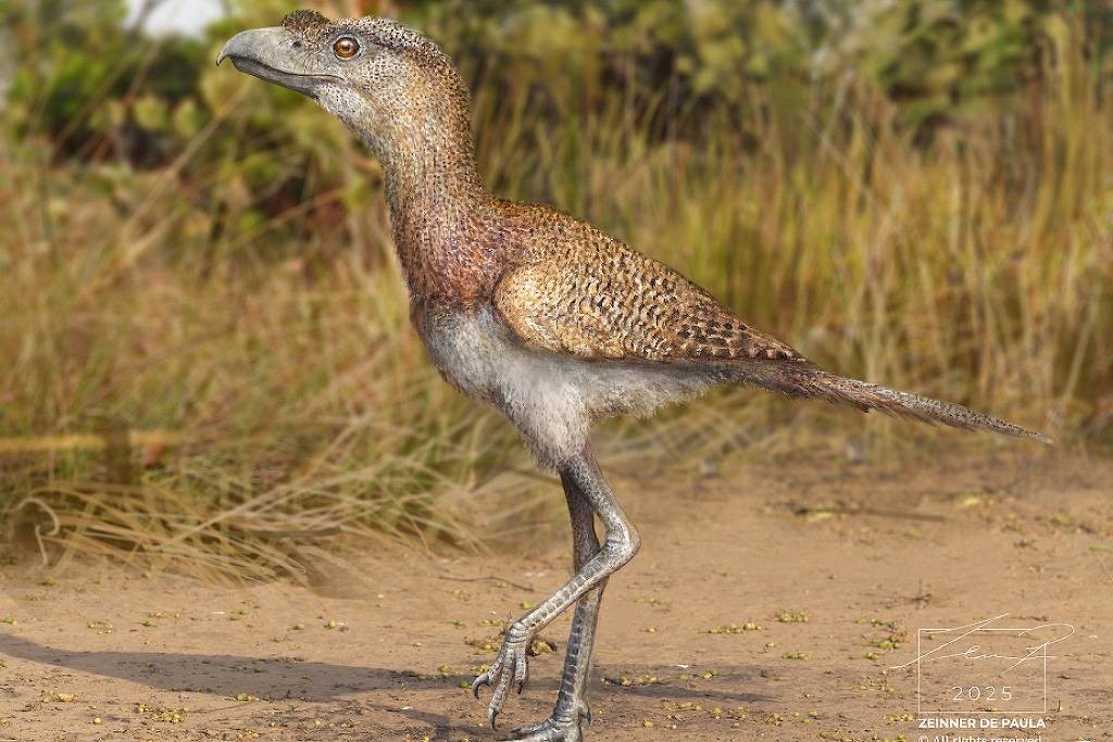 Osso encontrado em caverna da Bahia revela espécie inédita de 'aves do terror'; entenda