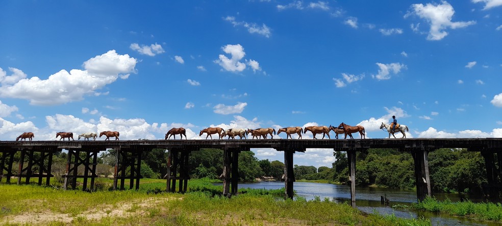 Ponte de madeira sobre o Rio Negro no Hotel Barra Mansa, em Aquidauana, um dos cenários recorrentes na novela'Pantanal' — Foto: Divulgação / Nivaldo Nunes / Hotel Barra Mansa