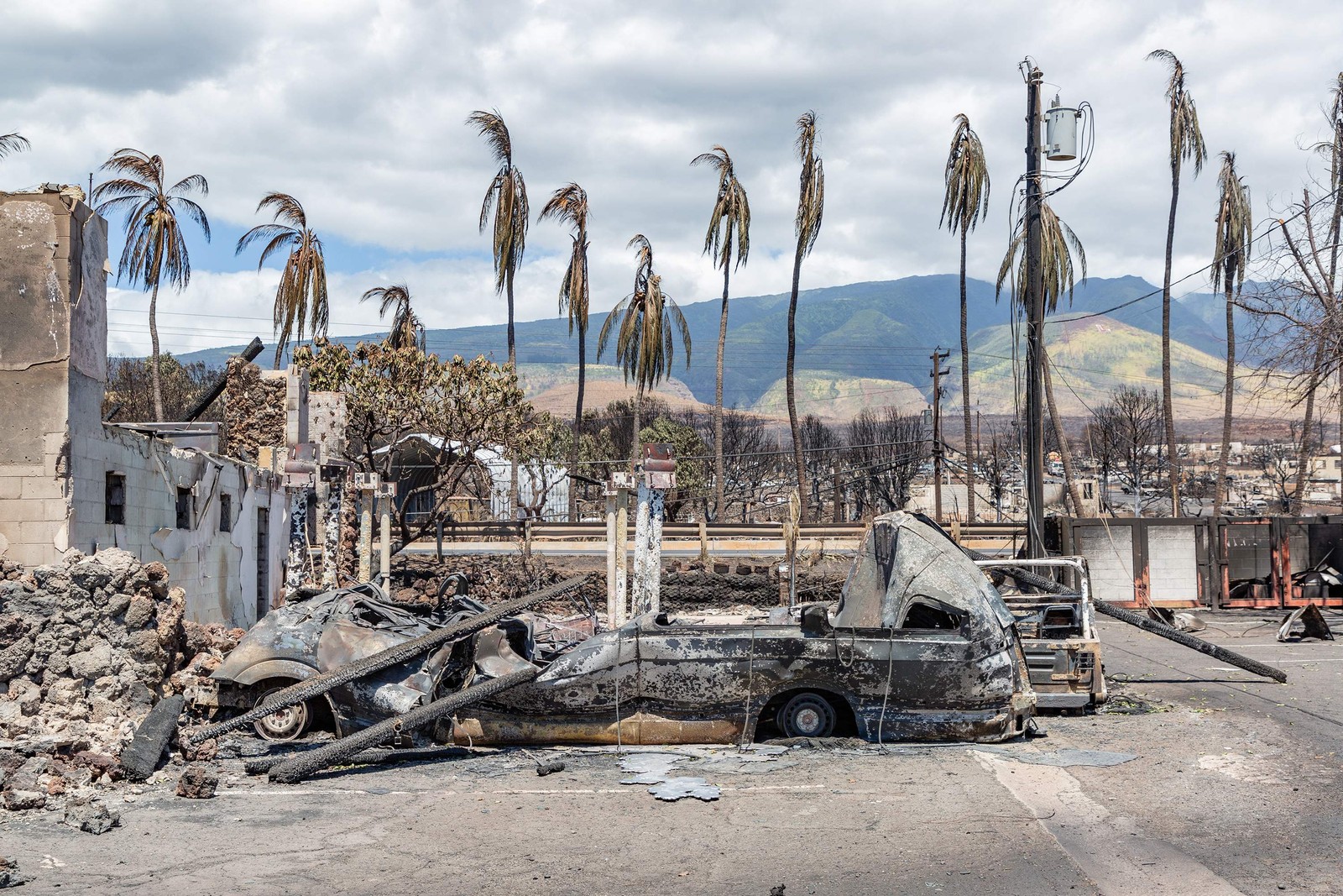 Palmeiras queimadas em incêndio em Lahaina, no Havaí — Foto: MOSES SLOVATIZKI