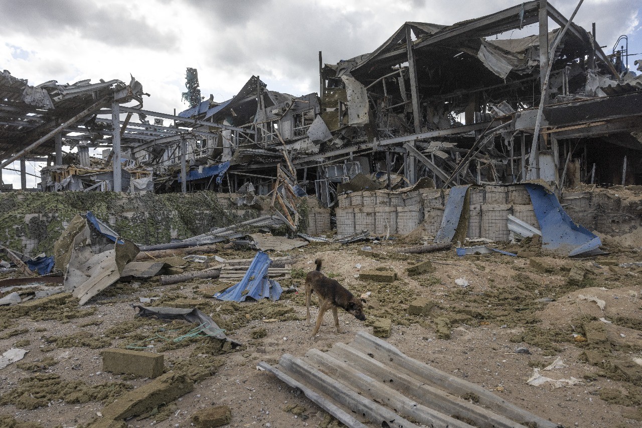 Umcãoderua caminha pelos destroçosdo do de Fronteira russodestruídono Cruzamento de Sudzha, Em Kursk, Rússia, Em 24 De Agosto de 2024- foto- foto - foto: David Guttenfelder/david Guttenfelder/new York Times/the New York Times Times