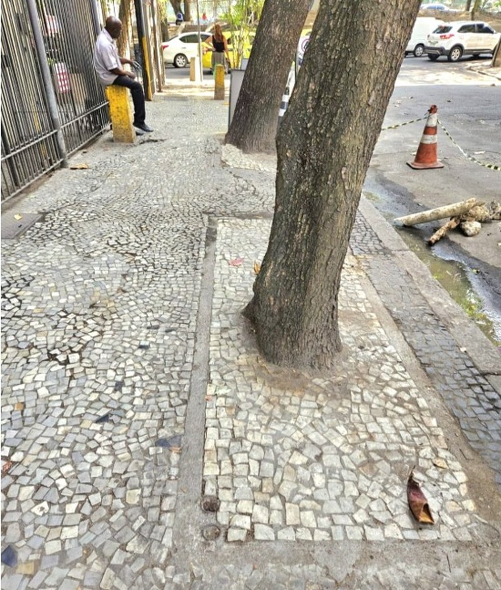 Árvores na Rua Jornalista Orlando Dantas, em Botafogo, com as raízes cimentadas com pedras portuguesas — Foto: Reprodução/Instagram