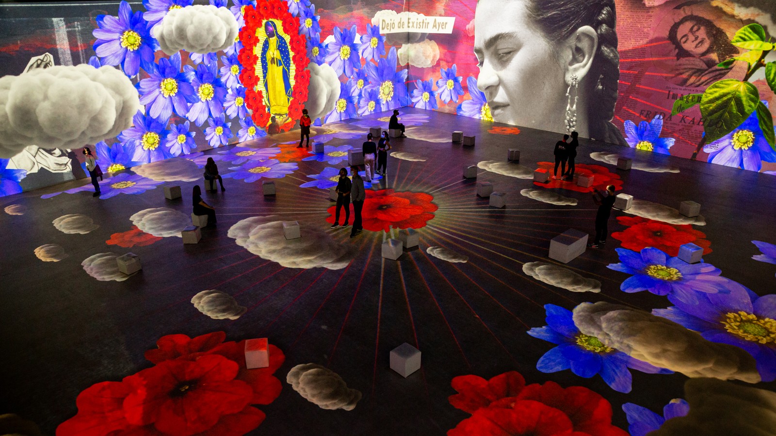 Mostra imersiva sobre Frida Kahlo chega ao Rio de Janeiro — Foto: Divulgação