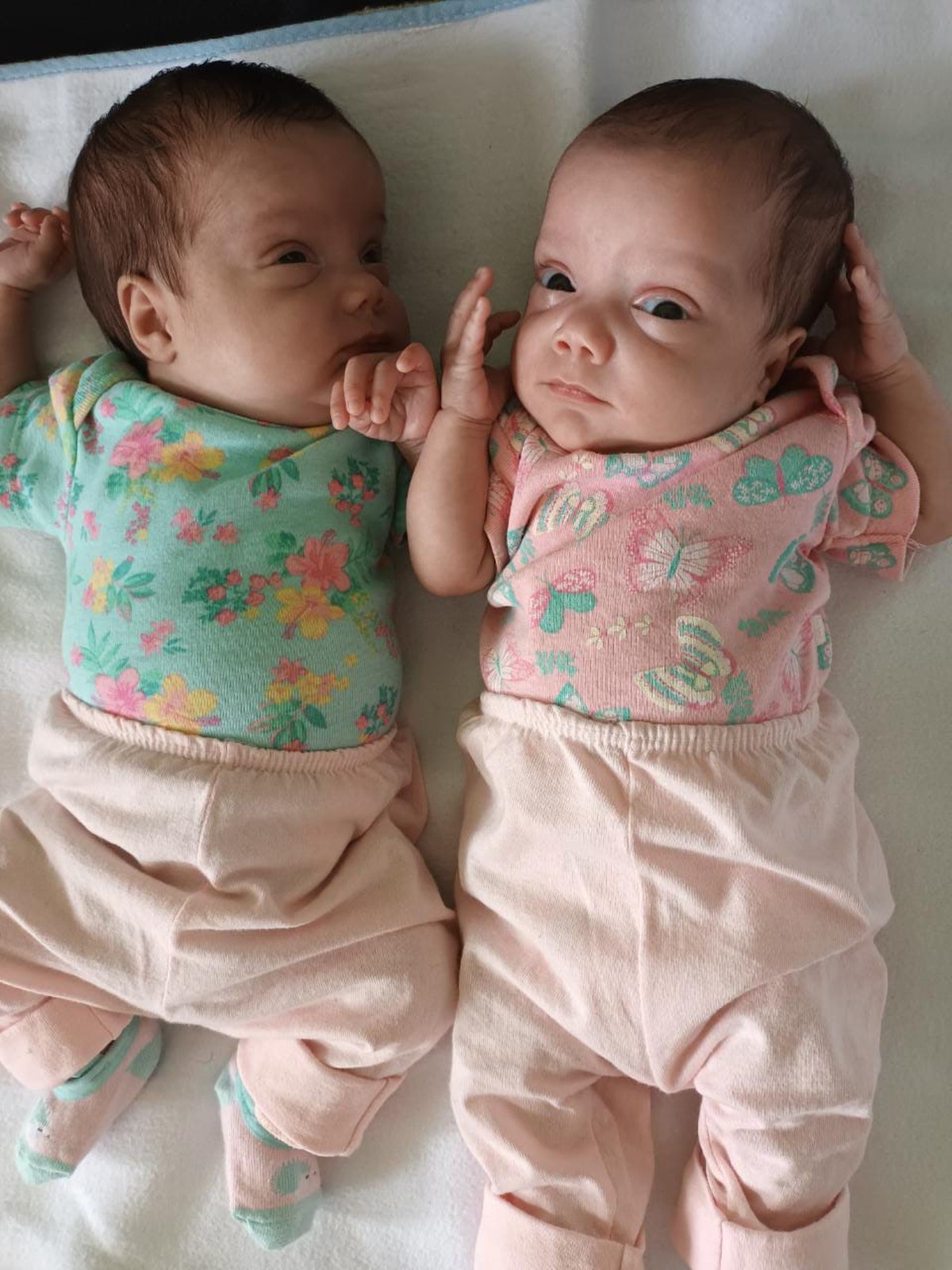 Gêmeos Reborn -Twin A e Twin B 