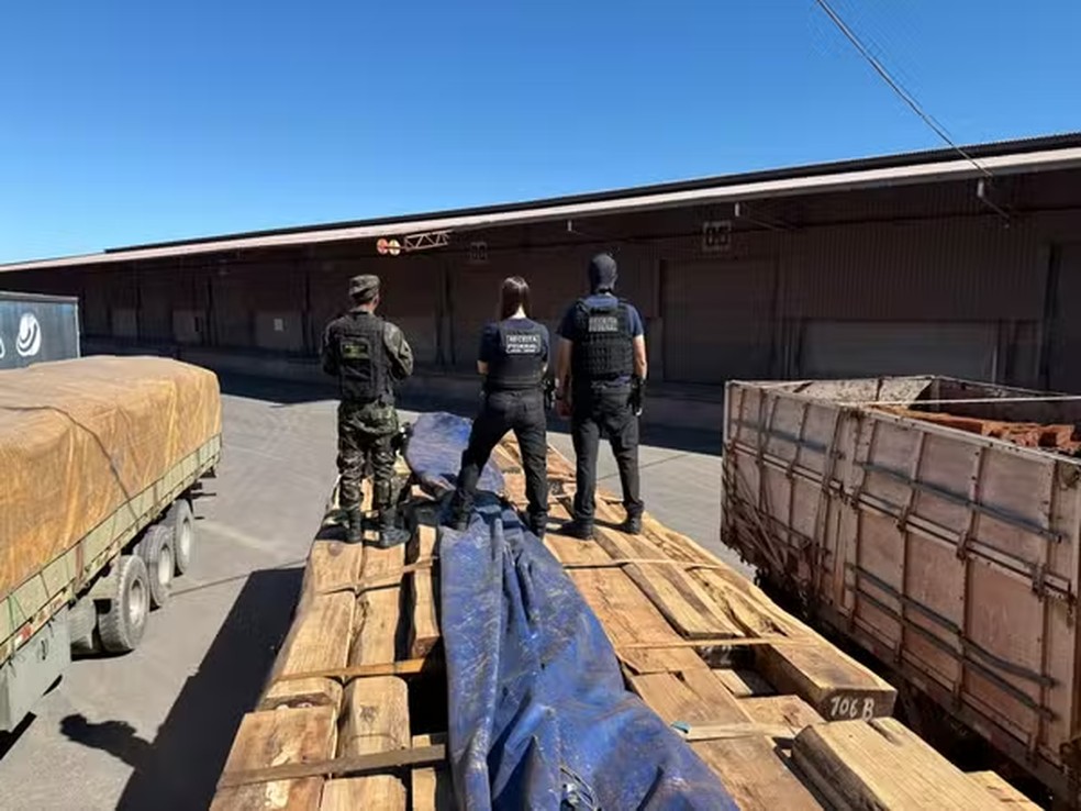 Agentes da Receita, PF e Polícia do Exército sobre carga de madeira com drogas — Foto: Divulgação