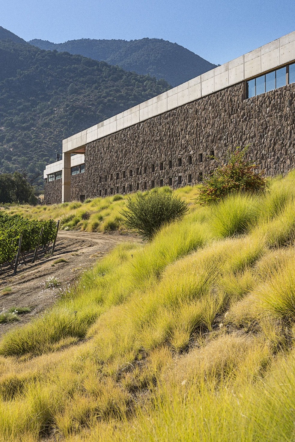 Viña San Pedro: vinhos ícones produzidos na região de Cachapoal Andes — Foto: Divulgação