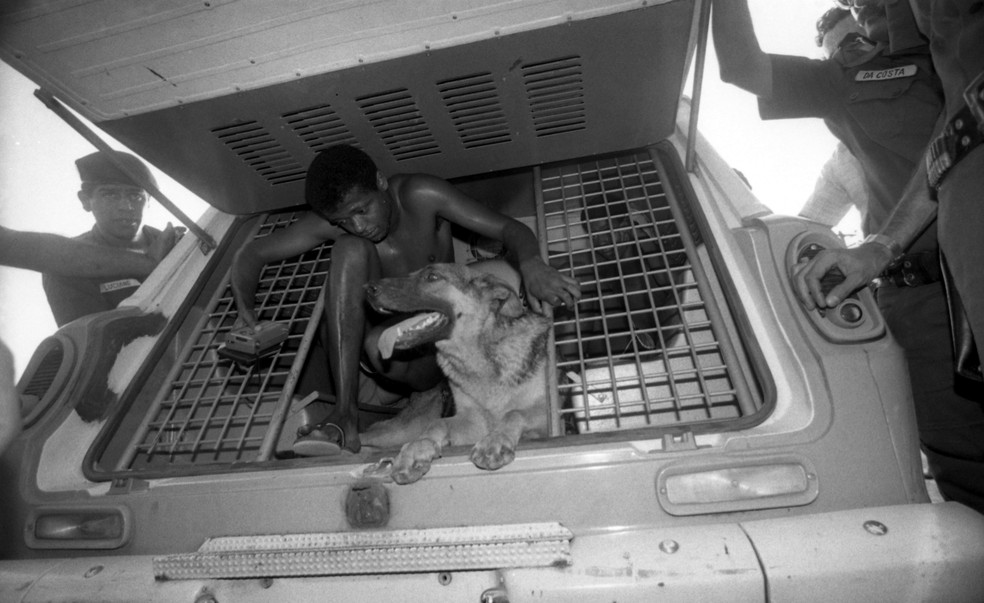 Cadela July pulou dentro do camburão após prisão do dono, que acabou sendo liberado — Foto: João Roberto Ripper / Agência O Globo