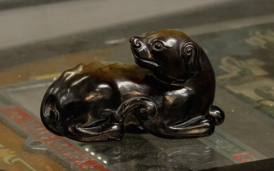 Do tamanho da palma da mão, cão chinês com mais de 600 anos vai a leilão e pode render até R$ 70 mil no Reino Unido - QTU Questões do Universo