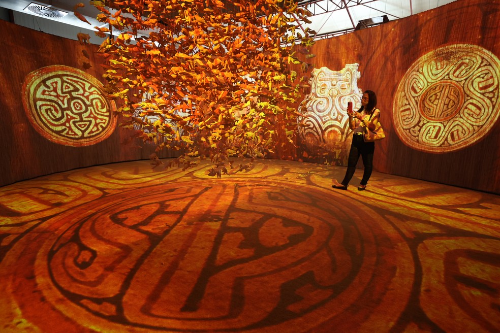 Museu das Amazônias — Foto: Divulgação