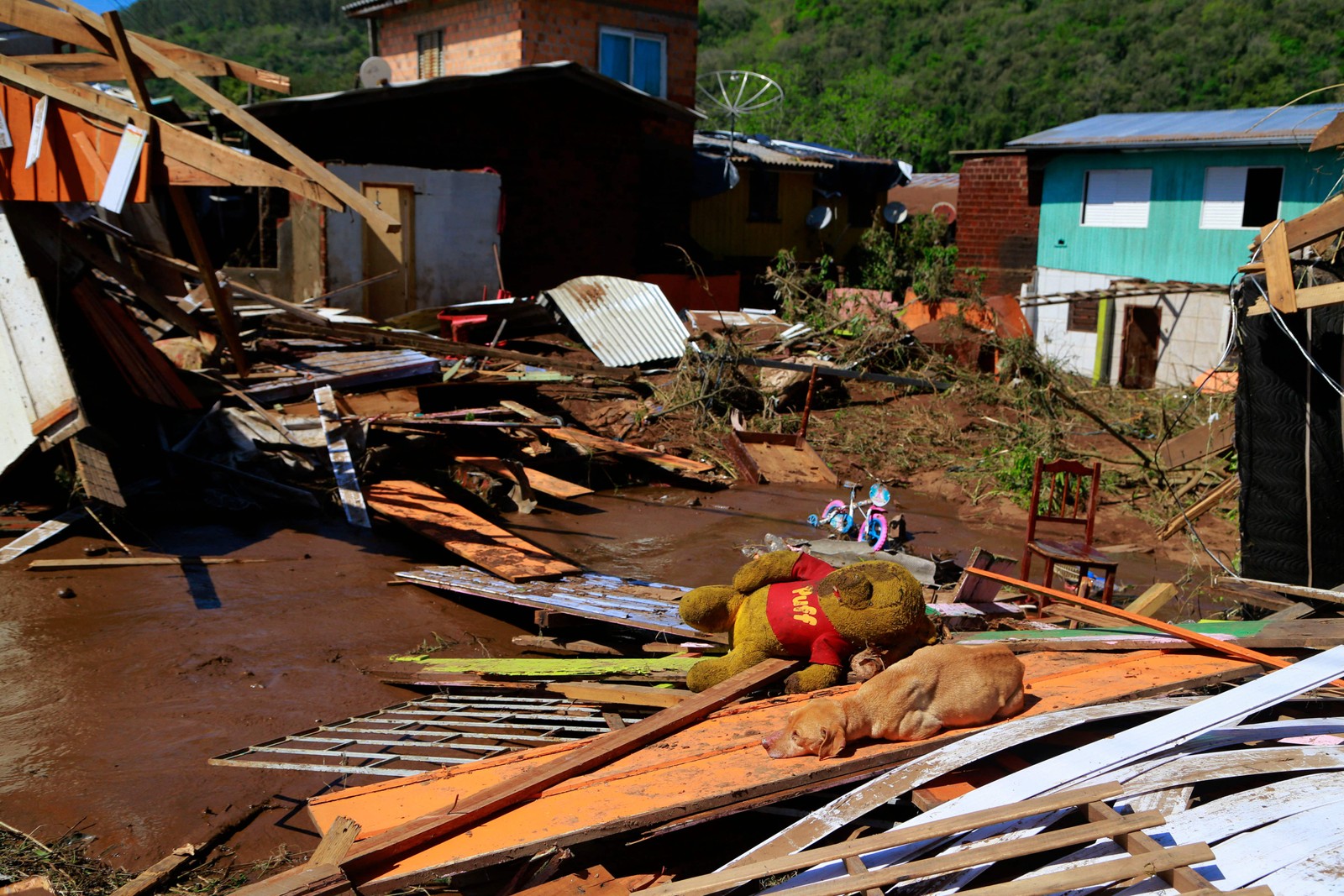Um cachorro repousa sobre escombros e lama após ciclone em Muçum, Rio Grande do Sul, Brasil — Foto: SILVIO ÁVILA/AFP