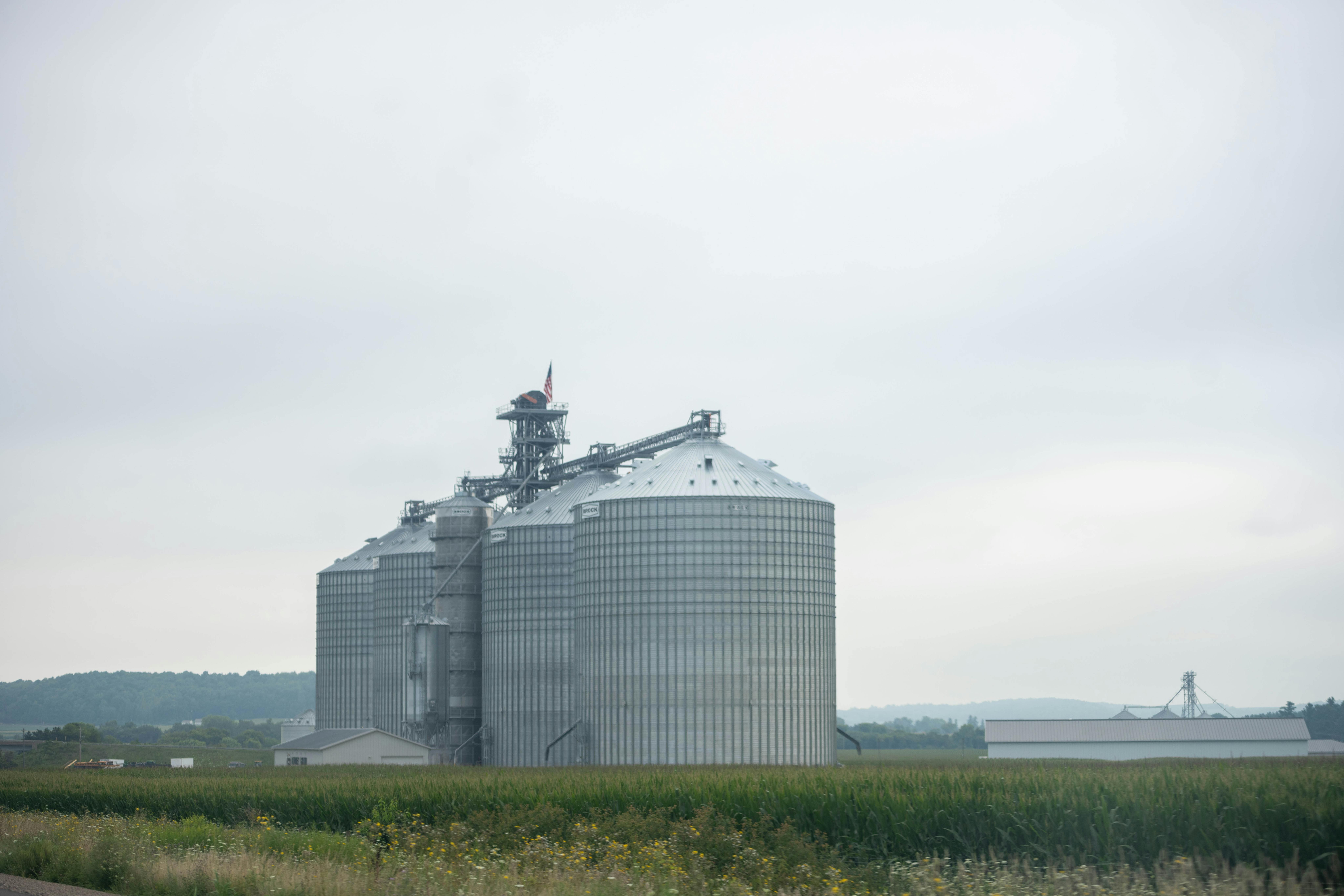 Agricultor de mais de 80 anos morre após cair em silo de grãos em fazenda na Inglaterra