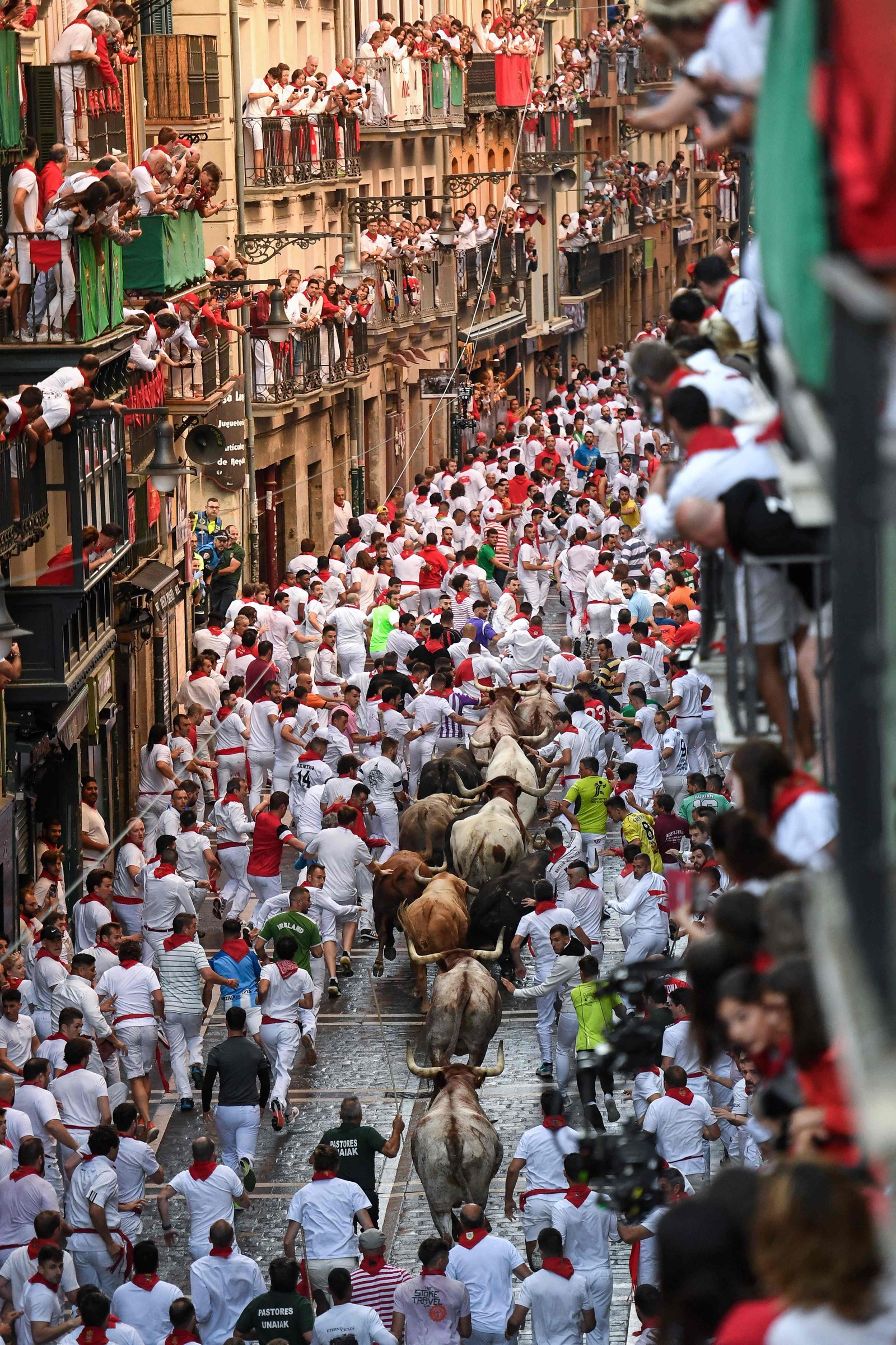 Touros de luta criados especialmente para o evento perseguem corredores pelas ruas estreitas do bairro velho de Pamplona em um trecho de 800 metros — Foto: ANDER GILLENEA / AFP