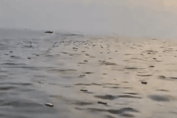 Pescadores recolhem centenas de iPhones que caíram de navio atingido por mina no Estreito de Ormuz; vídeo