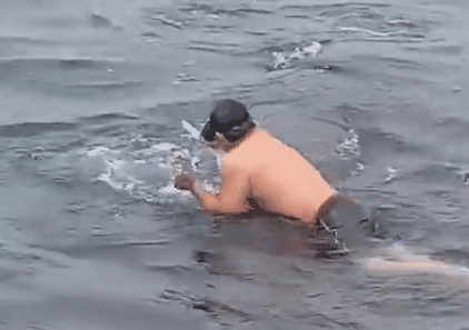 Pescador sobe em dorso de baleia para cortar rede em que estava presa e salvar animal, vídeo viraliza