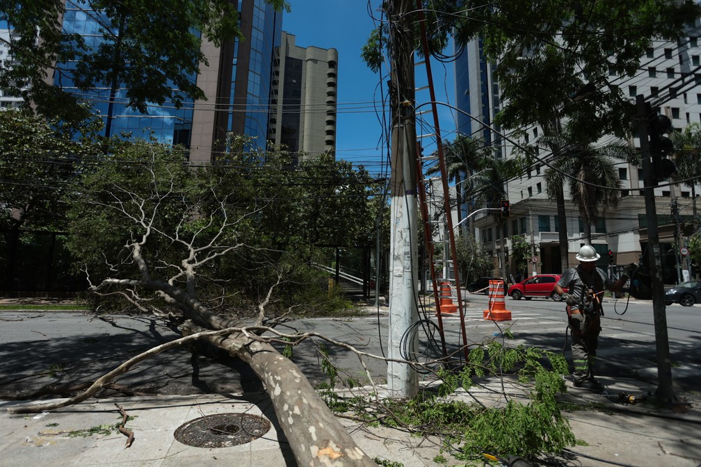 Queda de árvores e falta de luz no Itaim Bibi, Zona Sul de São Paulo — Foto: Maria Isabel Oliveira/Agência O Globo