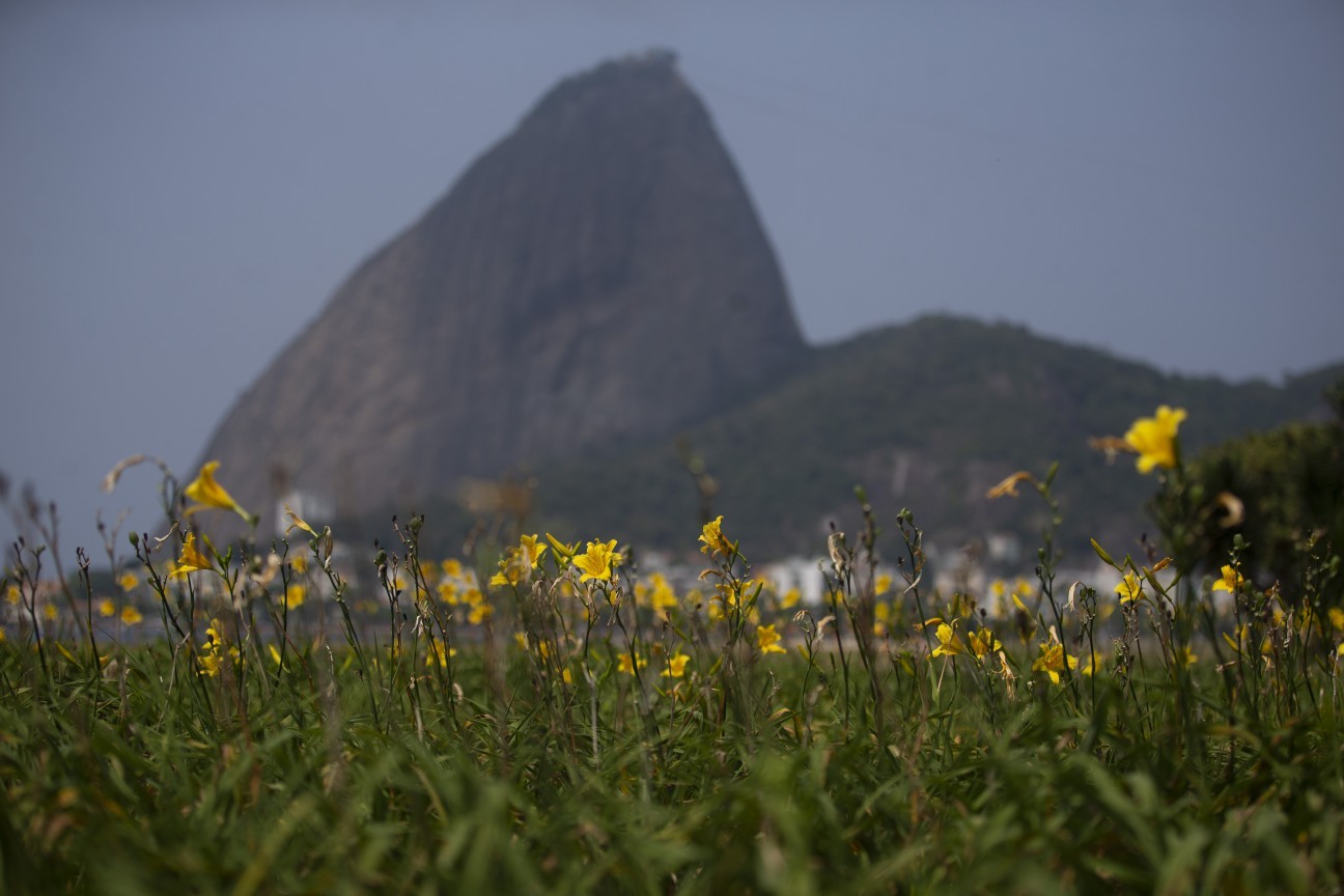 Quando termina o inverno e começa a primavera?