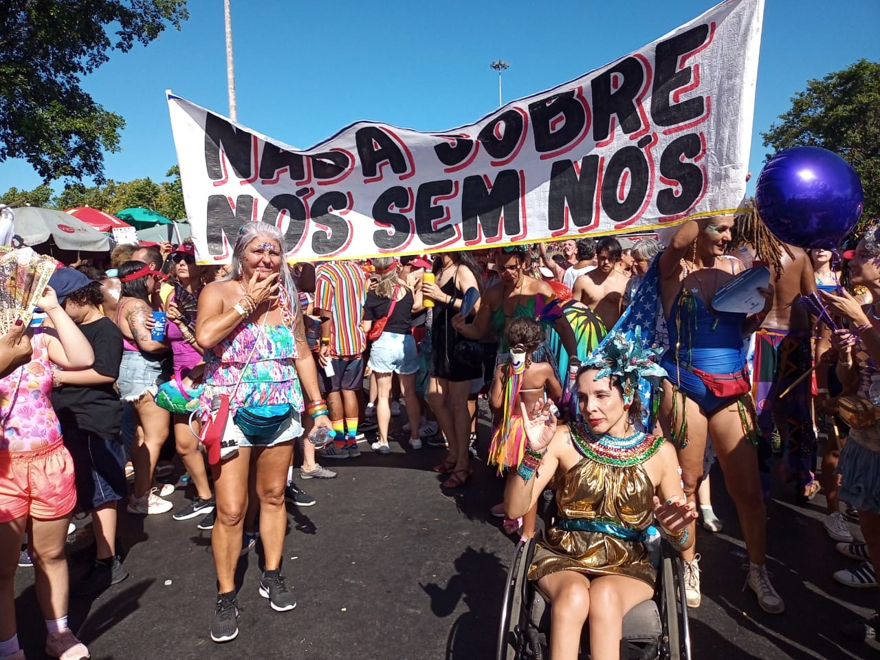 Foliões aproveitam festa para reivindicar direitos fundamentais — Foto: Custódio Coimbra