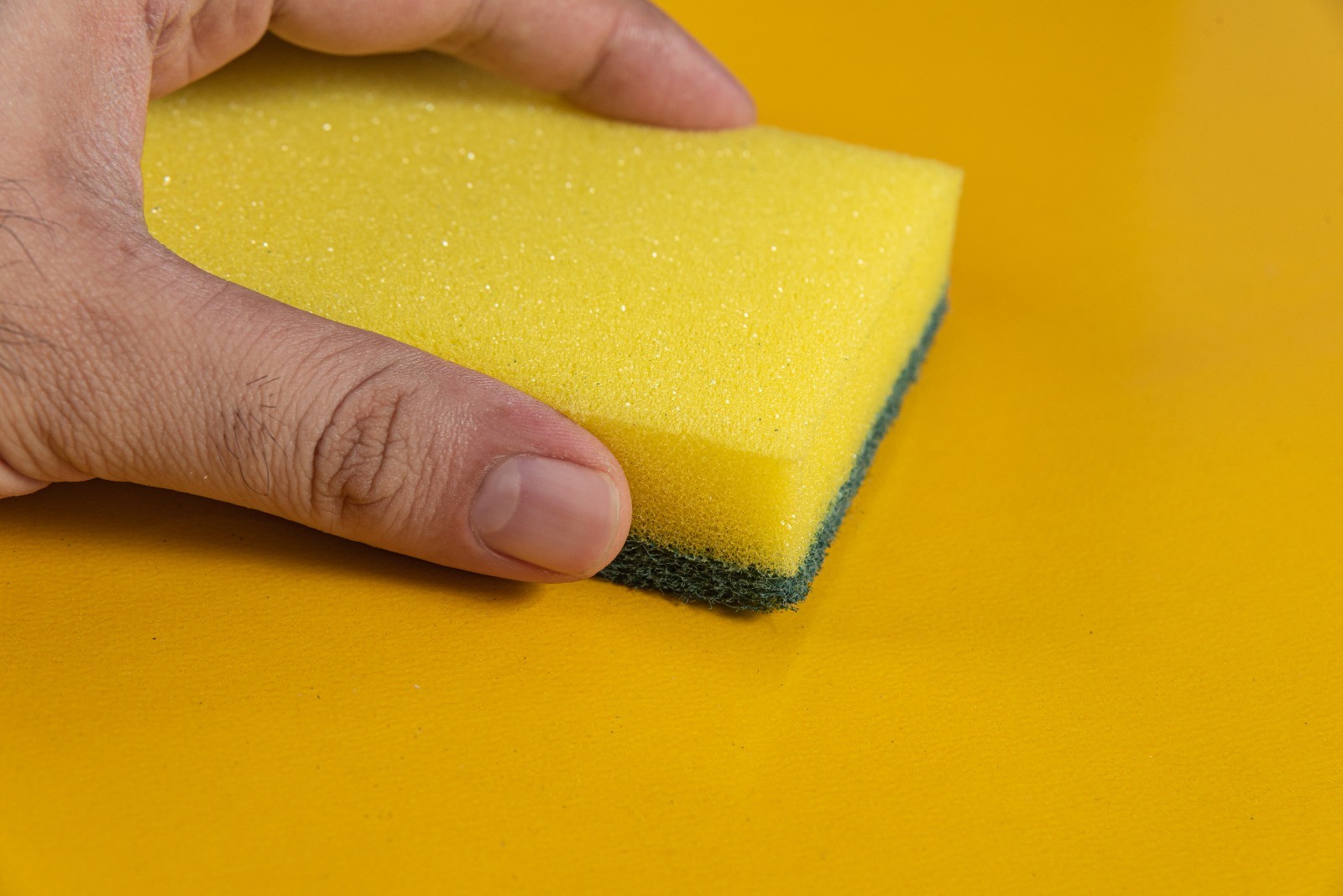 Sua esponja de cozinha é um esconderijo de bactérias? Nem mesmo o teste do cheiro pode salvá-la