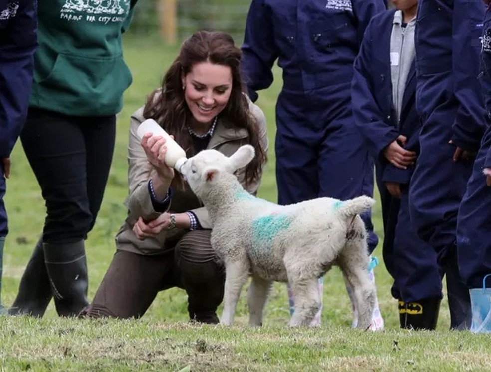 Kate Middleton alimentando ovelha — Foto: Getty Images