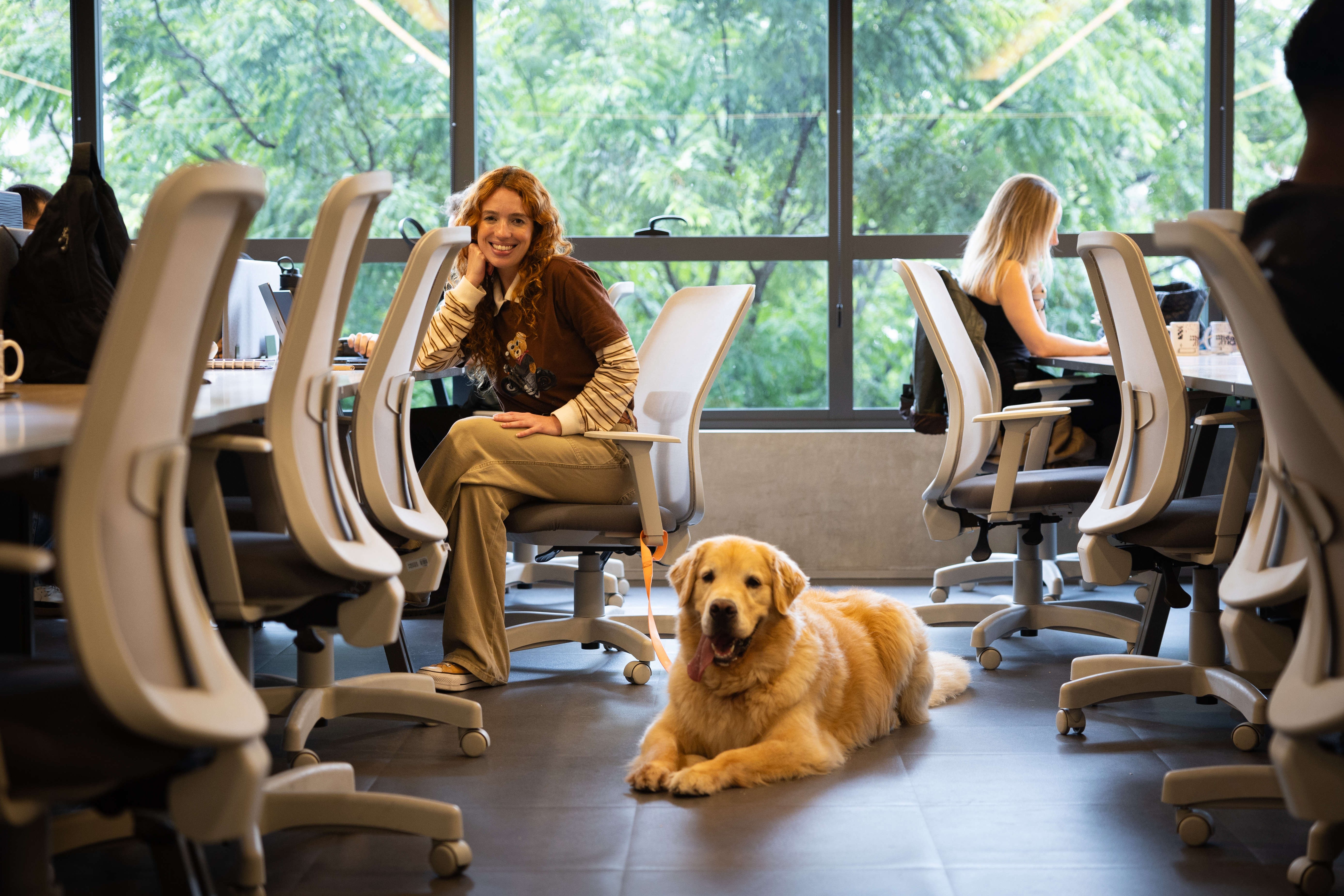 Batendo 'pata' no escrit&oacute;rio: como &eacute; a rotina nas empresas que decidiram liberar os pets no ambiente de trabalho