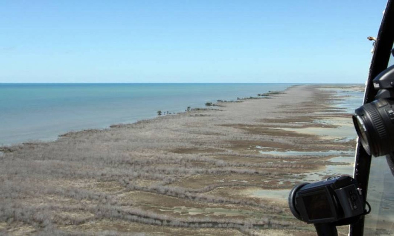 Manguezal com 7.400 hectares morreu de "sede" no Golfo de Carpentária, na Austrália — Foto: AFP / NORMAN DUKE
