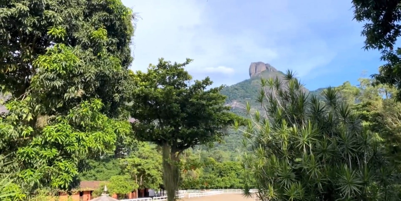 A casa de Aline Campos, no Itanhangá — Foto: Reprodução/YouTube/Rope Engenharia
