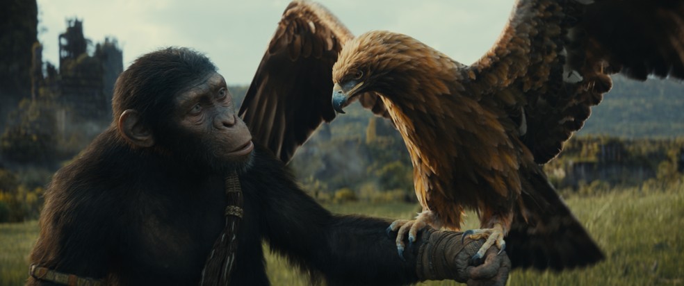 Owen Teague como Noa em "Planeta dos Macacos: O reinado" — Foto: Divulgação