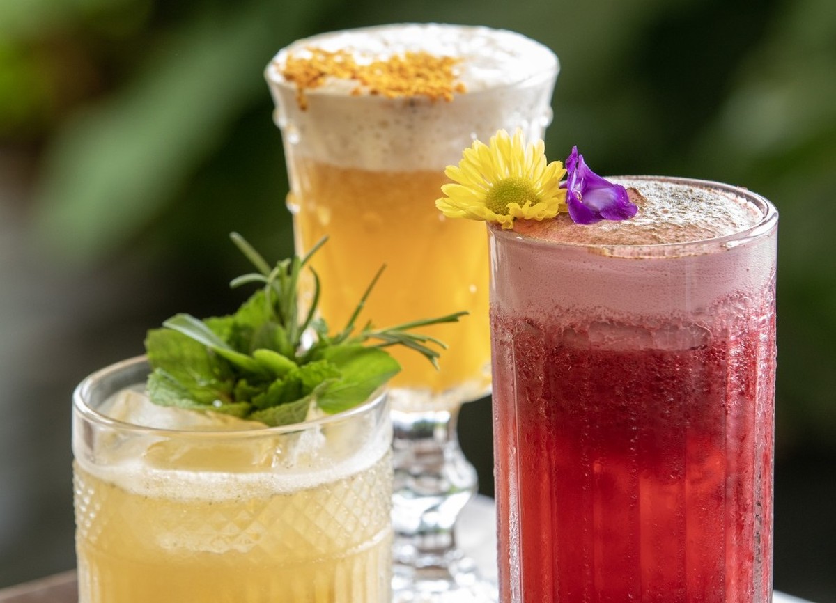 Moderação ao Consumir Álcool: O Impacto na Saúde e no Risco de Câncer