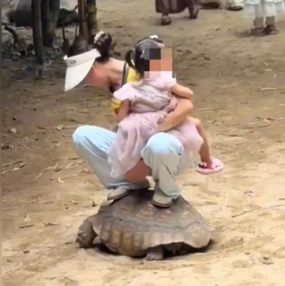 Mulher sobe em tartaruga e ri enquanto animal tenta se locomover na China; veja vídeo - QTU Questões do Universo