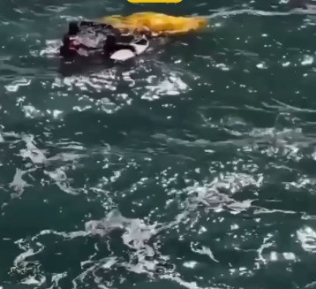 Coronel do Exército morre após queda de parapente em São Conrado; clube aponta linha de pipa - QTU Questões do Universo