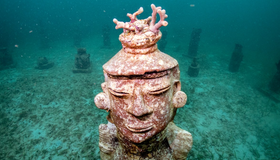 Museu submarino protege corais ameaçados de extinção no Caribe colombiano