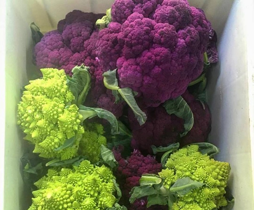 Couve-Flor roxa é um dos produtos que fazem parte do cardápio do agricultor David Ralitera na fazenda Santa Adelaide, em Morungaba (SP) — Foto: Divulgação