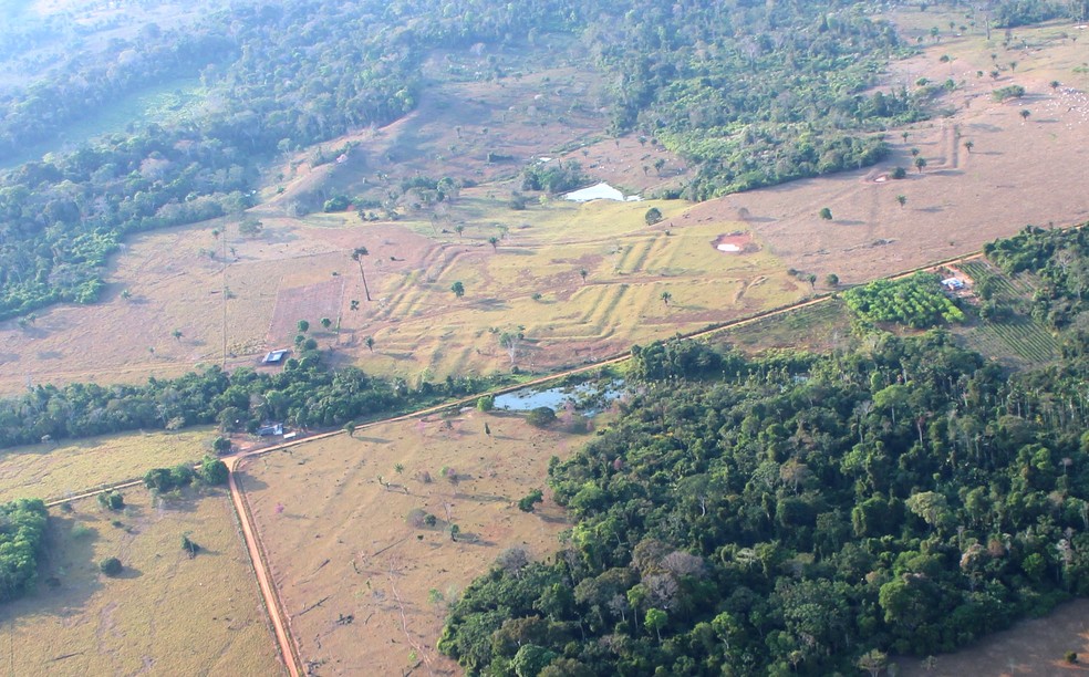 Geoglifo descoberto em área desmatada de Tequinho, no Acre — Foto: Martti Pärssinen